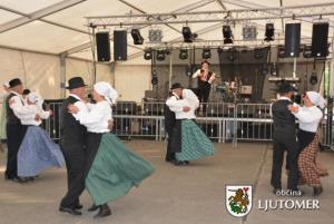 20 let folklore v Babincih 5